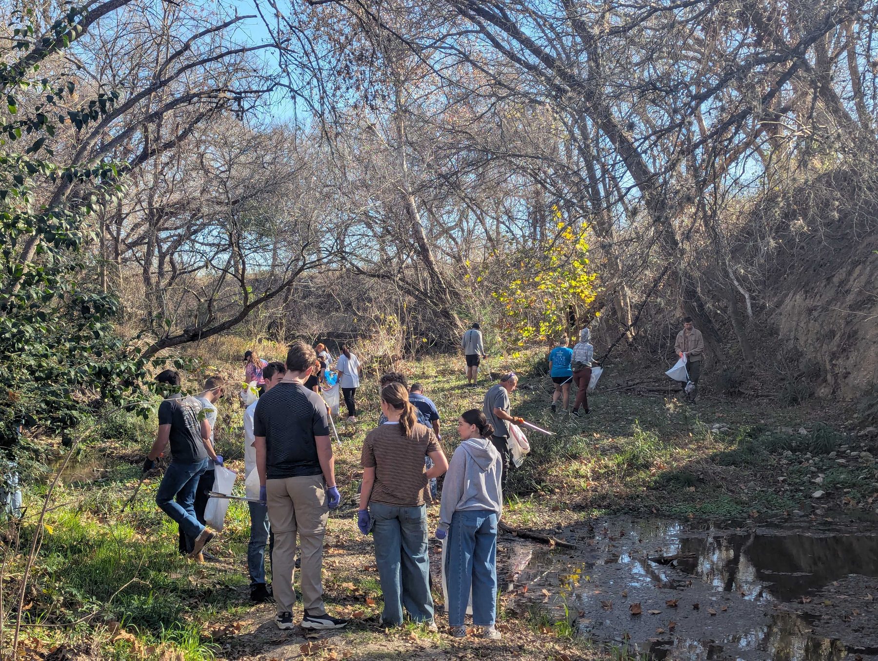 Volunteers spread out along a creek bed under bare winter trees, collecting litter from the water and the banks.