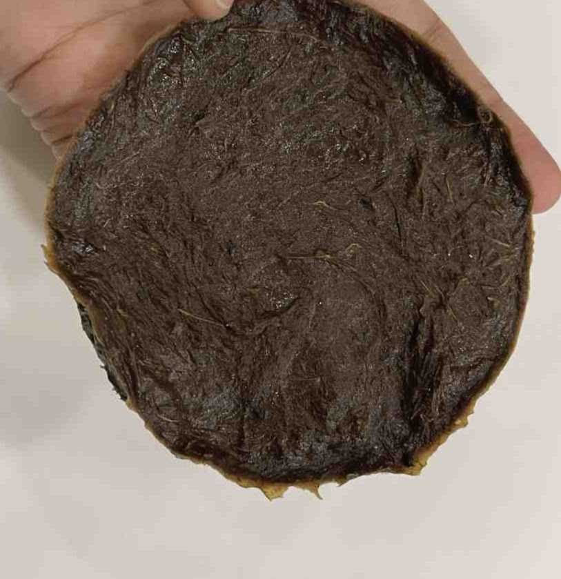 A pressed disc of dark mycelium material held flat in an open hand.