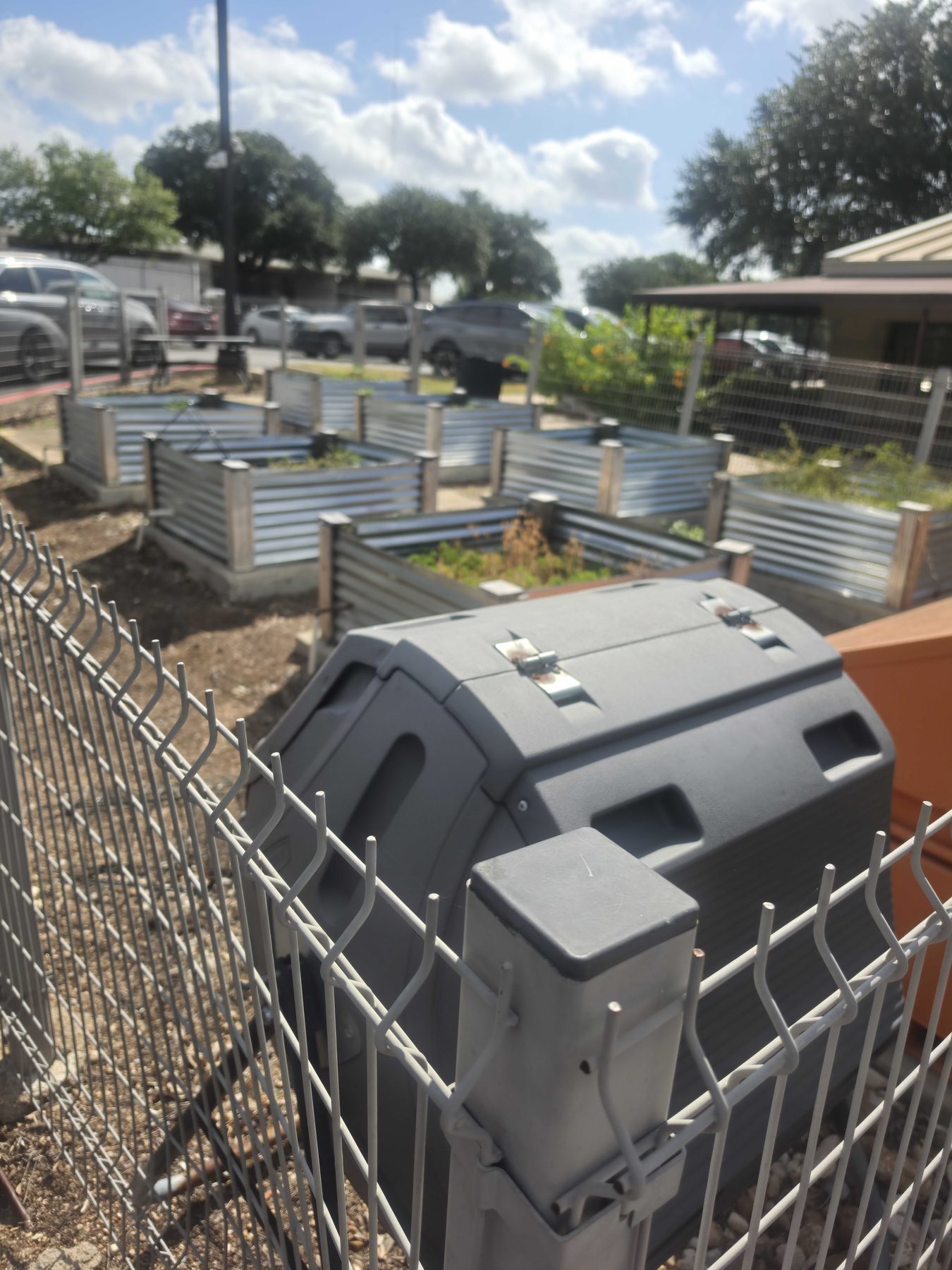 A compost tumbler standing beside corrugated raised beds in a community garden.