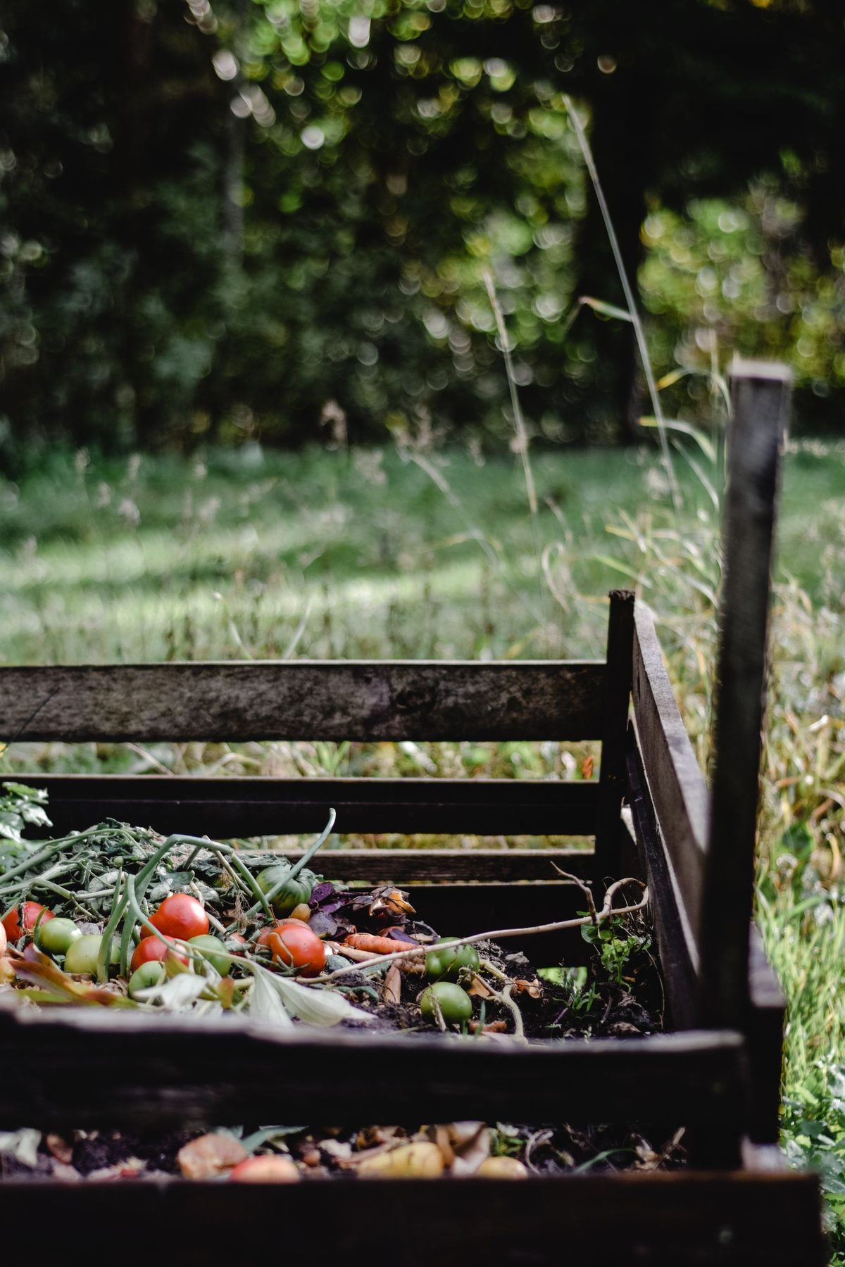 A timber compost bin standing in long grass, filled with kitchen scraps.