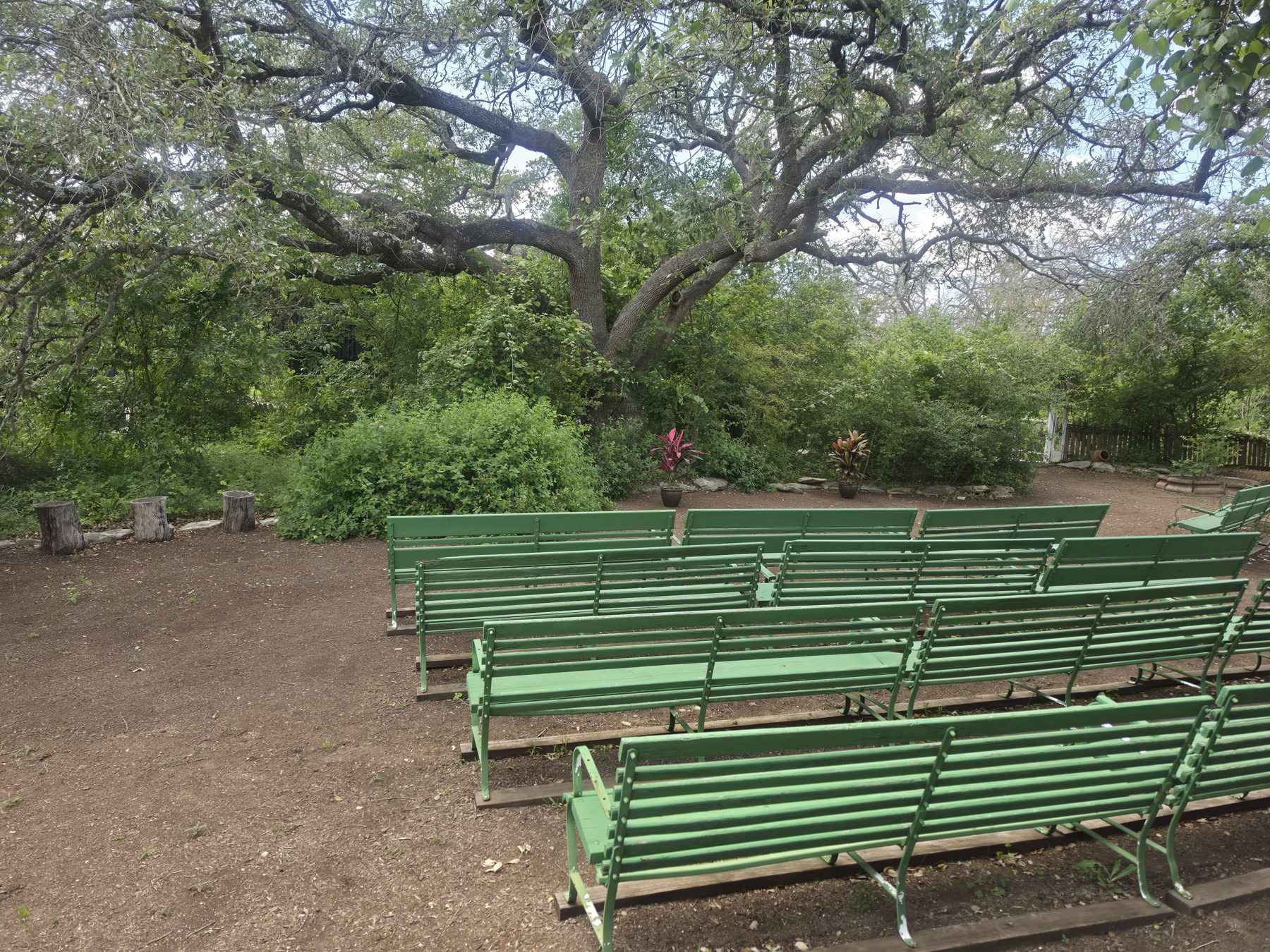 Empty benches arranged in a clearing under trees, set out before anyone has arrived.