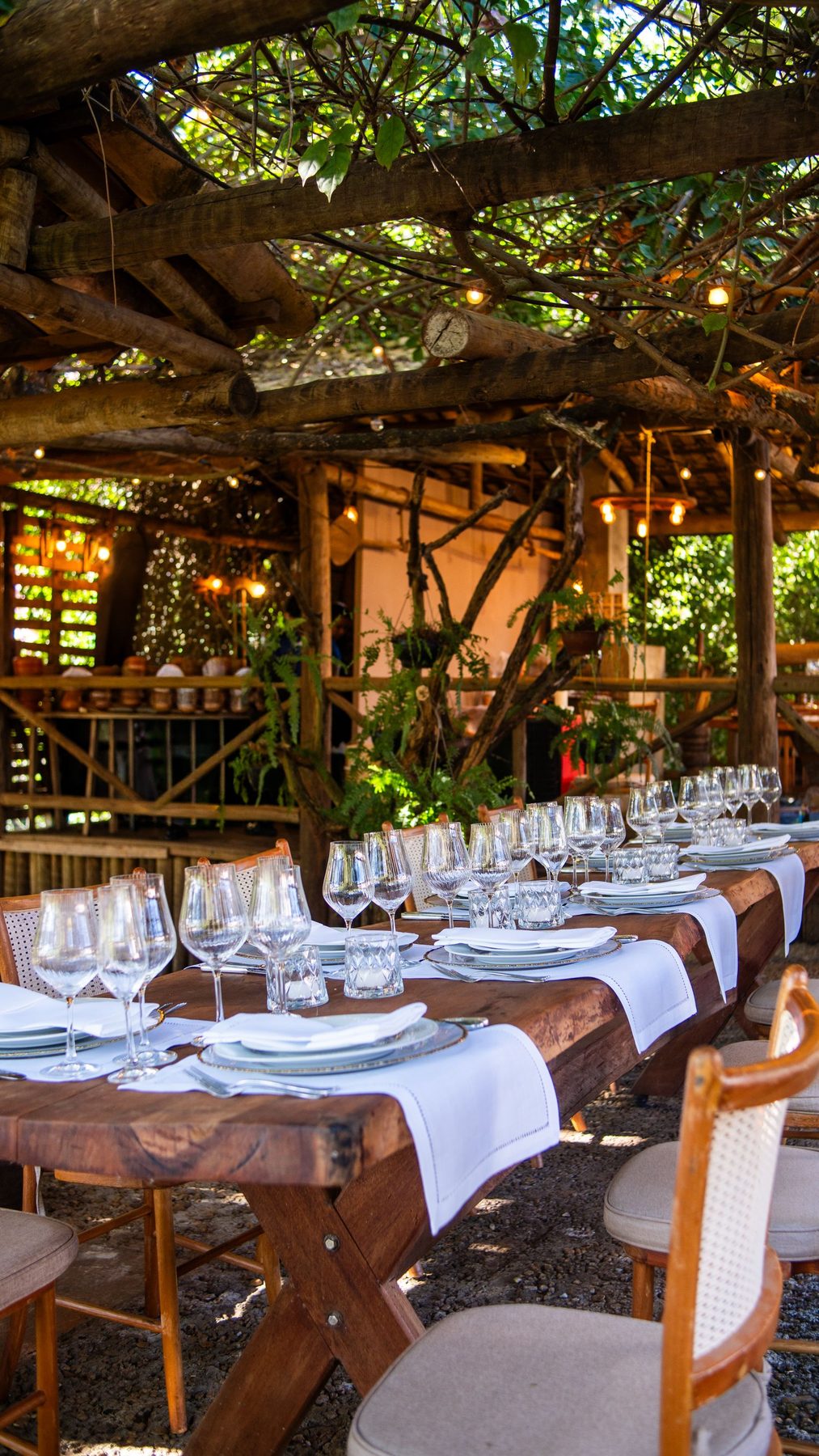 A long table set for a meal under a vine-covered timber frame, lit with hanging lights and empty.
