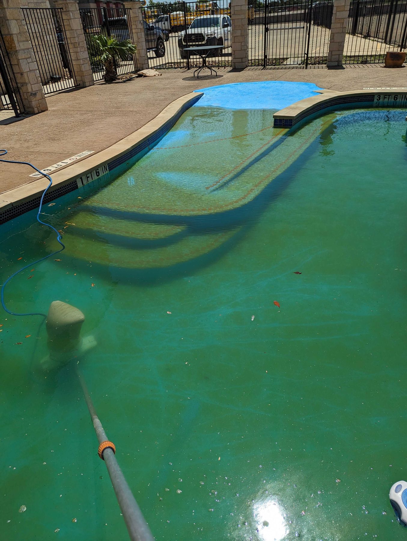 A neglected swimming pool with opaque green water, a cleaning pole resting across the surface.